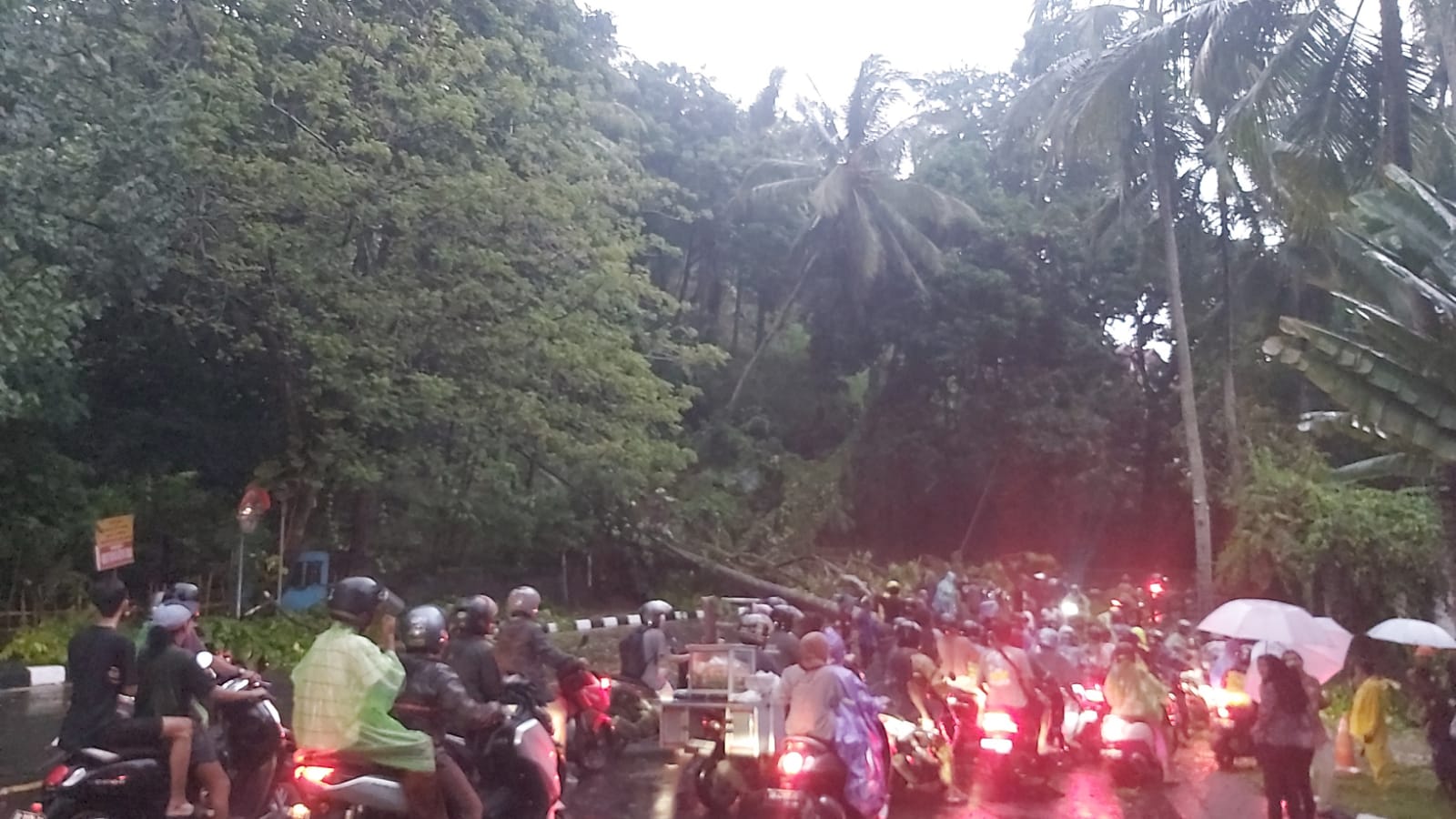 Kendaraan roda dua yang mengantri untuk melewati jalan yang dihalangi pohon tumbang di Depan Hotel Sheraton Senggigi, Jumat (8/3) pukul 18.15 wita.