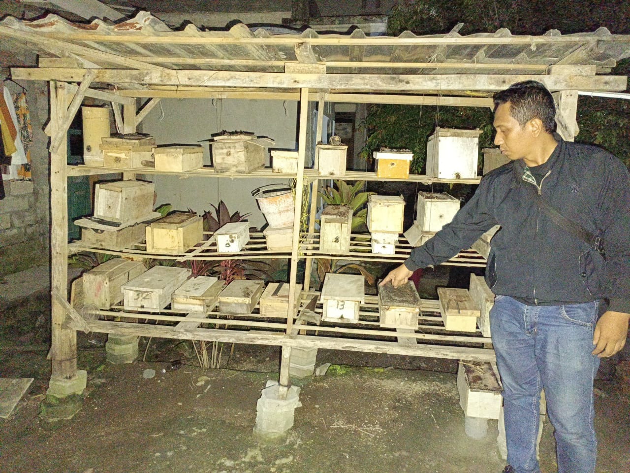 DIRINGKUS : Seorang sedang menunjukkan sarang lebih trigona yang ada di Batulayar.&nbsp;