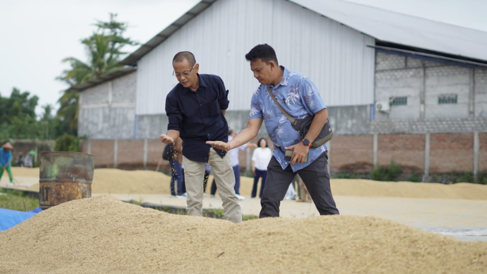 CEK SERAPAN: Pimwil Bulog NTB Raden Guna Dharma (kiri) saat mengecek kondisi gabah yang diserap di gudang Bulog, Senin (29/4).