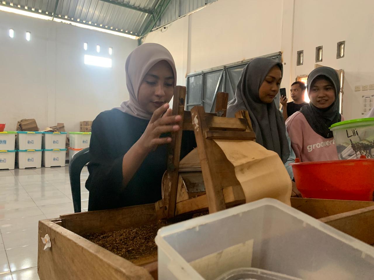 LINTING: Yeyen Safitri anggota DPRD Lotim terpilih saat melinting rokok di perusahaannya bersama ratusan pekerja lainya.