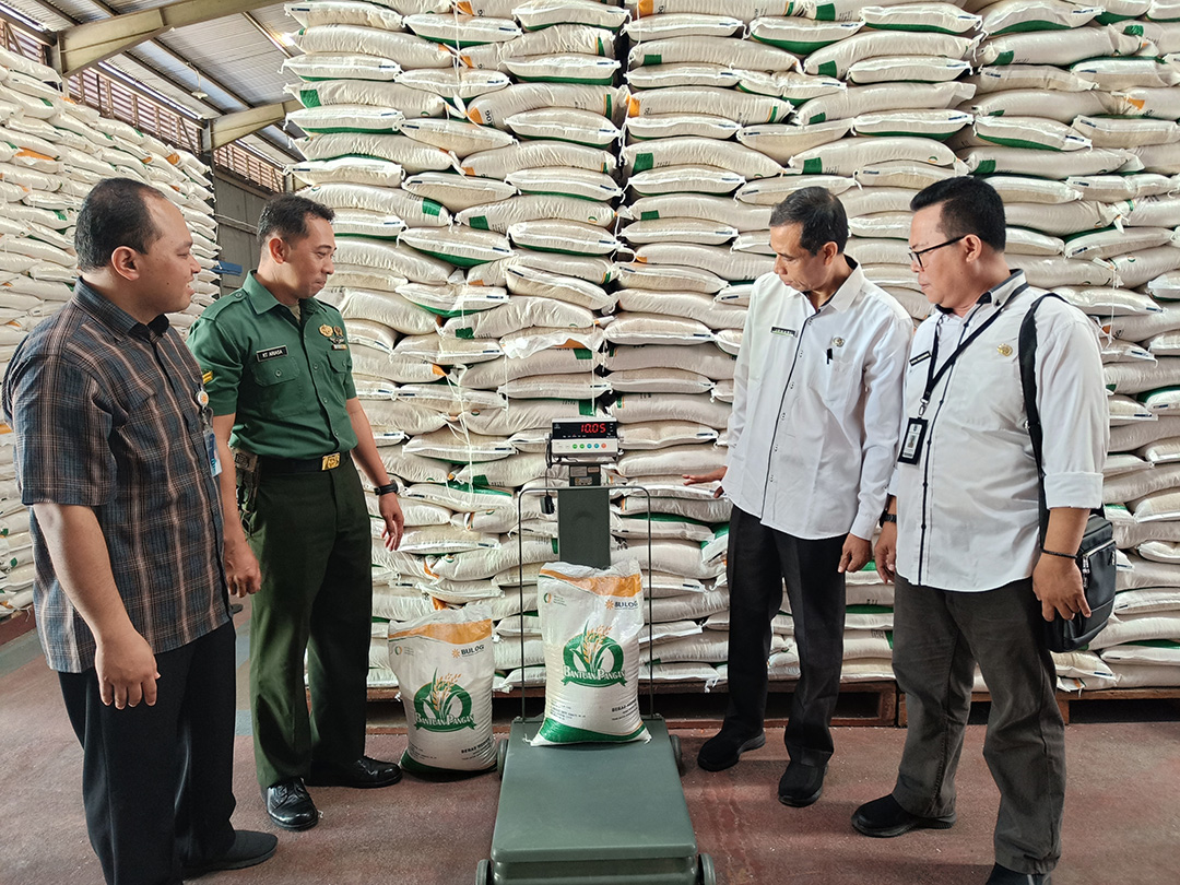 SIDAK: Lalu Jauhari bersama tim satgas pangan Kota Mataram mengecek kualitas beras di Gudang Bulog Dasan Cermen. (zad/LP)