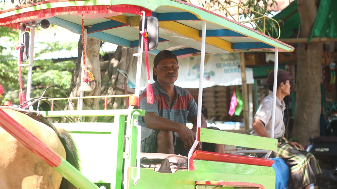 MENUNGGU: Muliadi bersama sejumlah kusir Cidomo saat menunggu penumpang di parkiran pasar terminal Pancor, Lombok Timur (Lotim), belum lama ini.(SUPARDI/LOMBOK POST)
