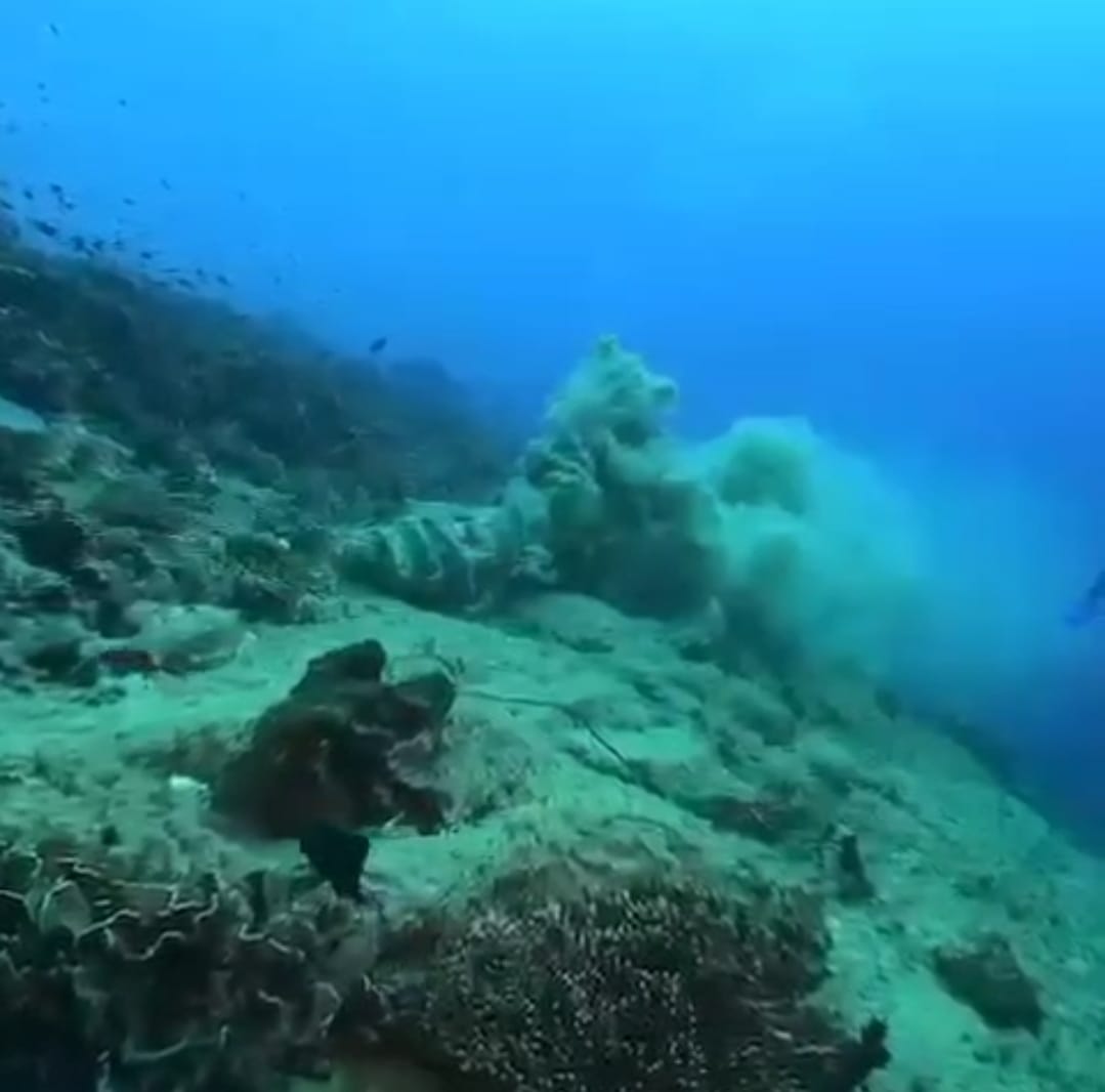 EKOSISTEM BAWAH LAUT: Ekosistem Terumbu Karang yang rusak di kawasan perairan Gili Tramena yang terkena dampak aktivitas manusia. (WANAPALA NTB FOR LOMBOK POST )