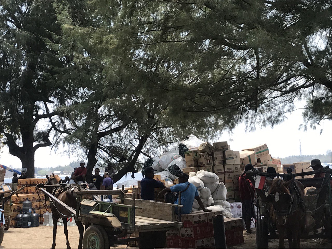 PENUHI MINUM: Beberapa kusir cidomo menunggu untuk pengangkutan air minum di Gili Trawangan, beberapa waktu lalu.(NURUL/LOMBOK POST)