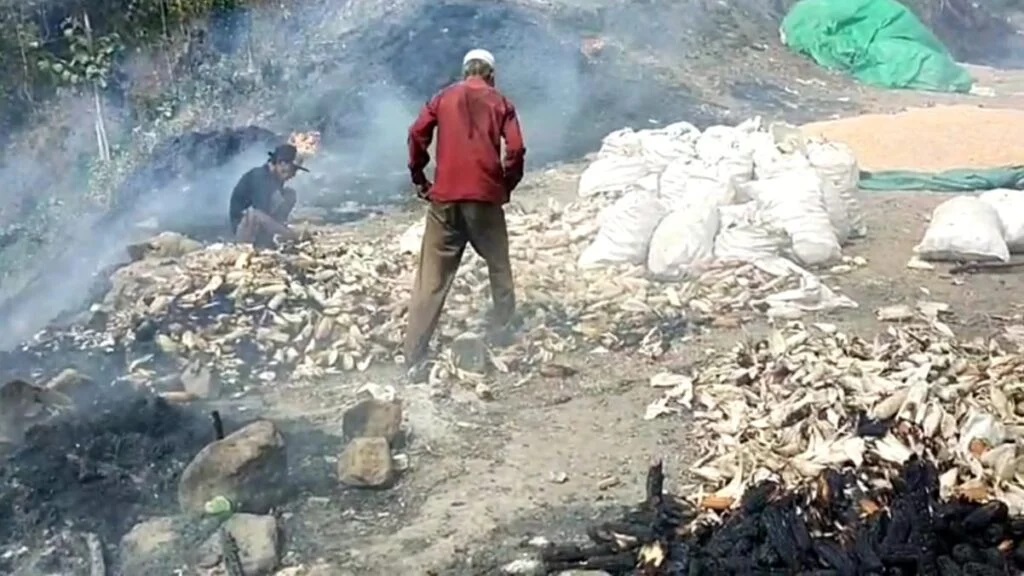 TERBAKAR: Jagung milik H Ibrahim dan Suharti yang baru dipanen terbakar di Desa Kole, Kecamatan Ambalawi, Bima, Sabtu (15/6). (ISTIMEWA/LOMBOK POST)
