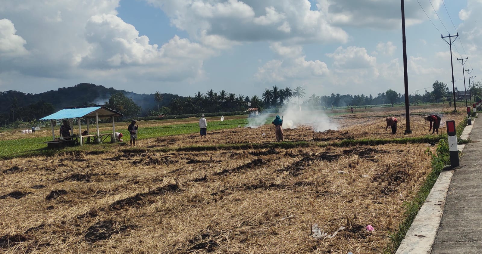 ANTISIPASI KEKERINGAN: Petani di Lombok Barat membakar sawahnya usai panen padi. BPBD NTB sudah mulai memetakan daerah kekeringan. (HABIBUL ADNAN/LOMBOK POST)