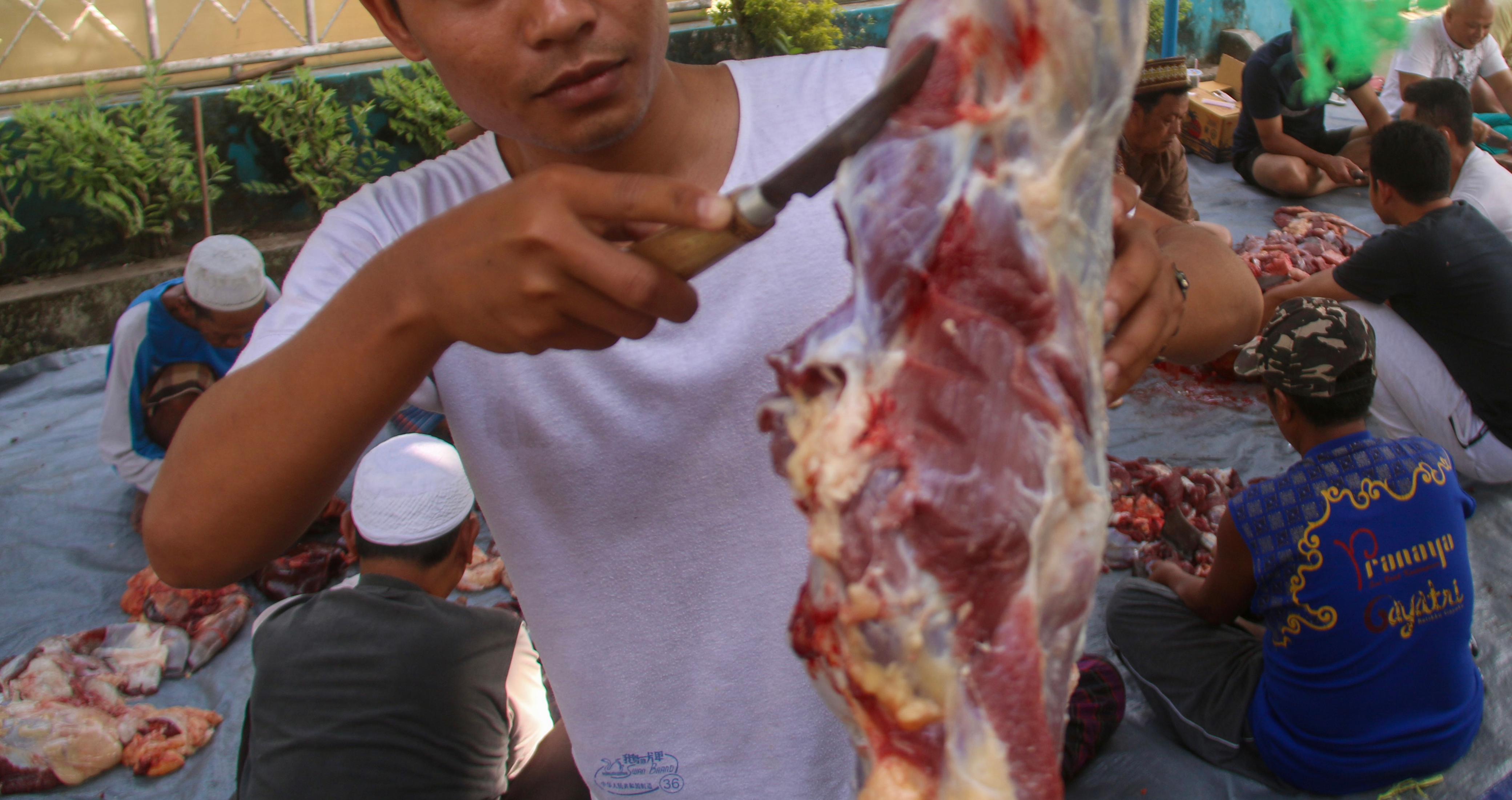 JANGAN ASAL KONSUMSI: Hewan kurban yang dikonsumsi masyarakat, harus dipastikan  kebersihannya, dan terbebas dari segala macam penyakit, termasuk cacing hati. (IVAN/LOMBOK POST)