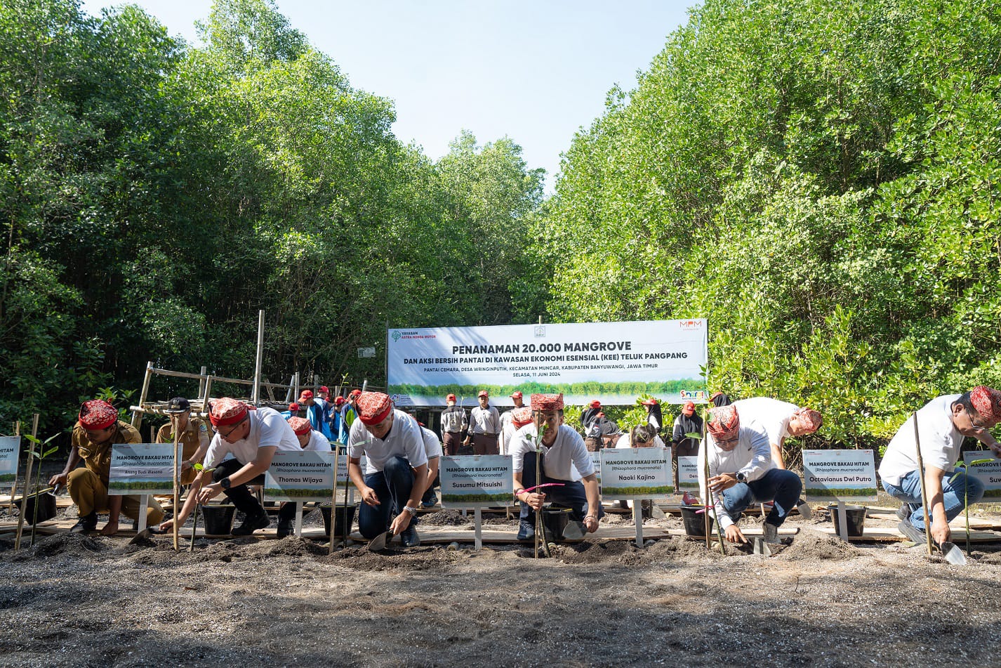 PEDULI LINGKUNGAN: Yayasan AHM saat melakukan penanaman mangrove, beberapa waktu lalu. (HONDA FOR LOMBOK POST)