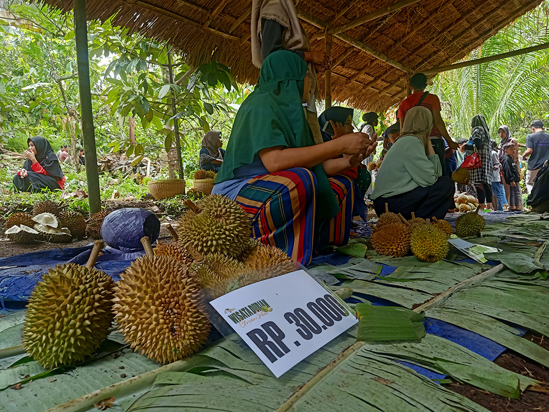 AGROWISATA: Buah durian dijual langsung di kebun yang dijadikan sebagai lokasi agrowisata durian di Desa Selelos. (FERIAL/LOMBOK POST)