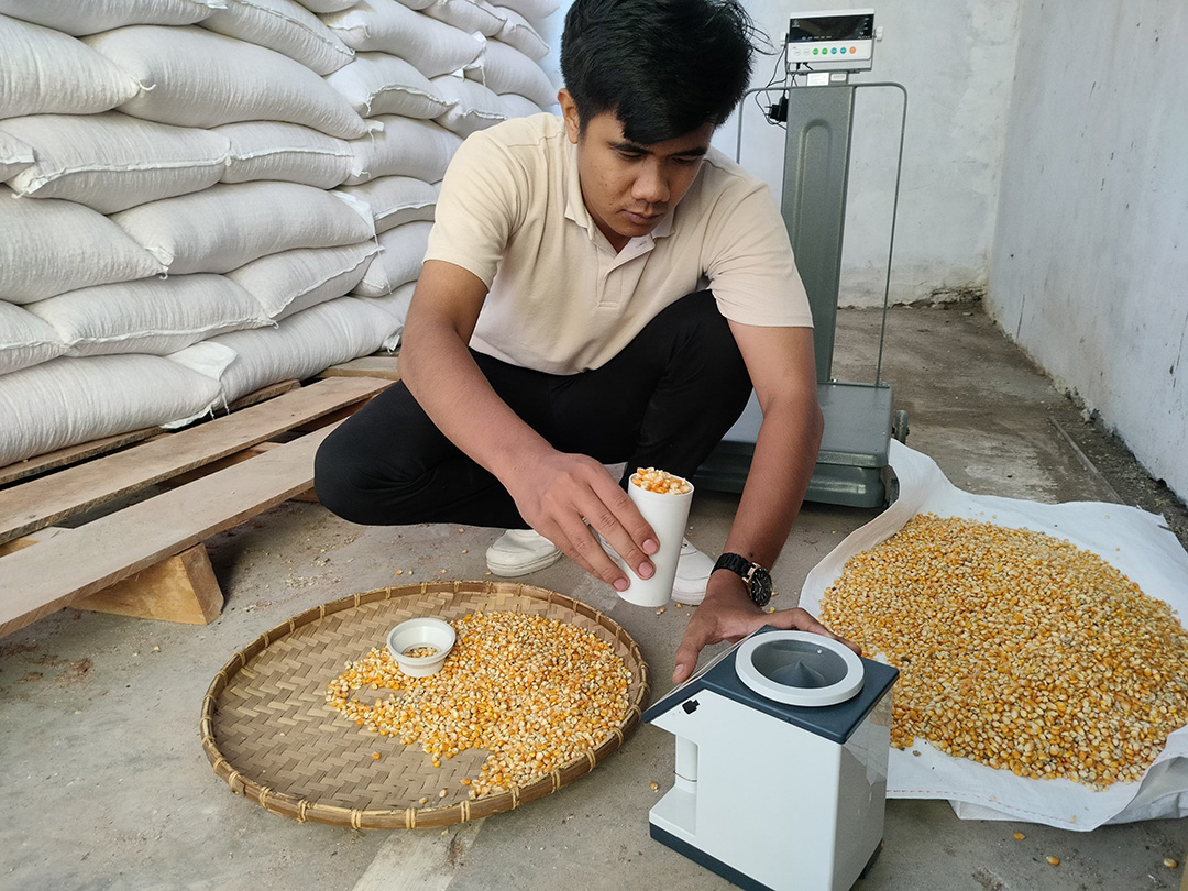 UKUR KADAR AIR: Petugas Bulog NTB tengah mengukur kadar air jagung yang diserap dari petani, di Gudang Bulog NTB, pekan lalu.(BULOG FOR LOMBOK POST)