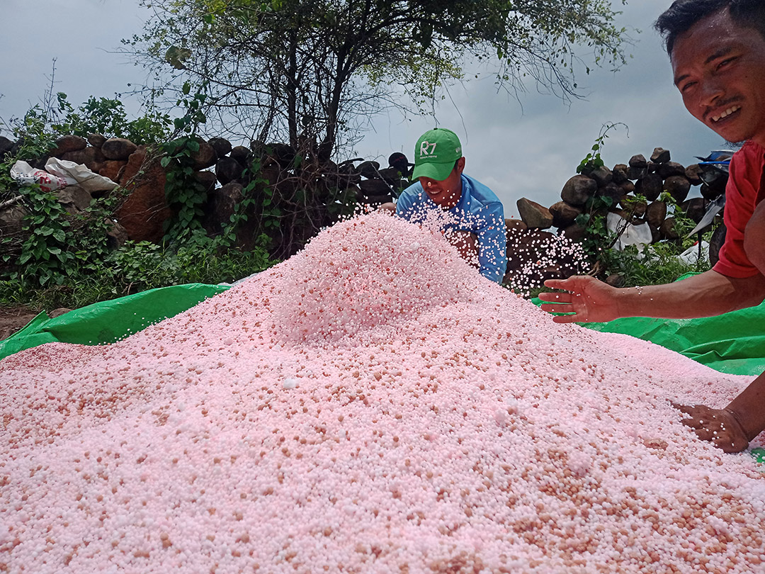 BIAR HEMAT: Petani sedang mengaduk campuran pupuk subsidi jenis urea dan NPK Phonska, beberapa waktu lalu.  (DOK/LOMBOK POST)