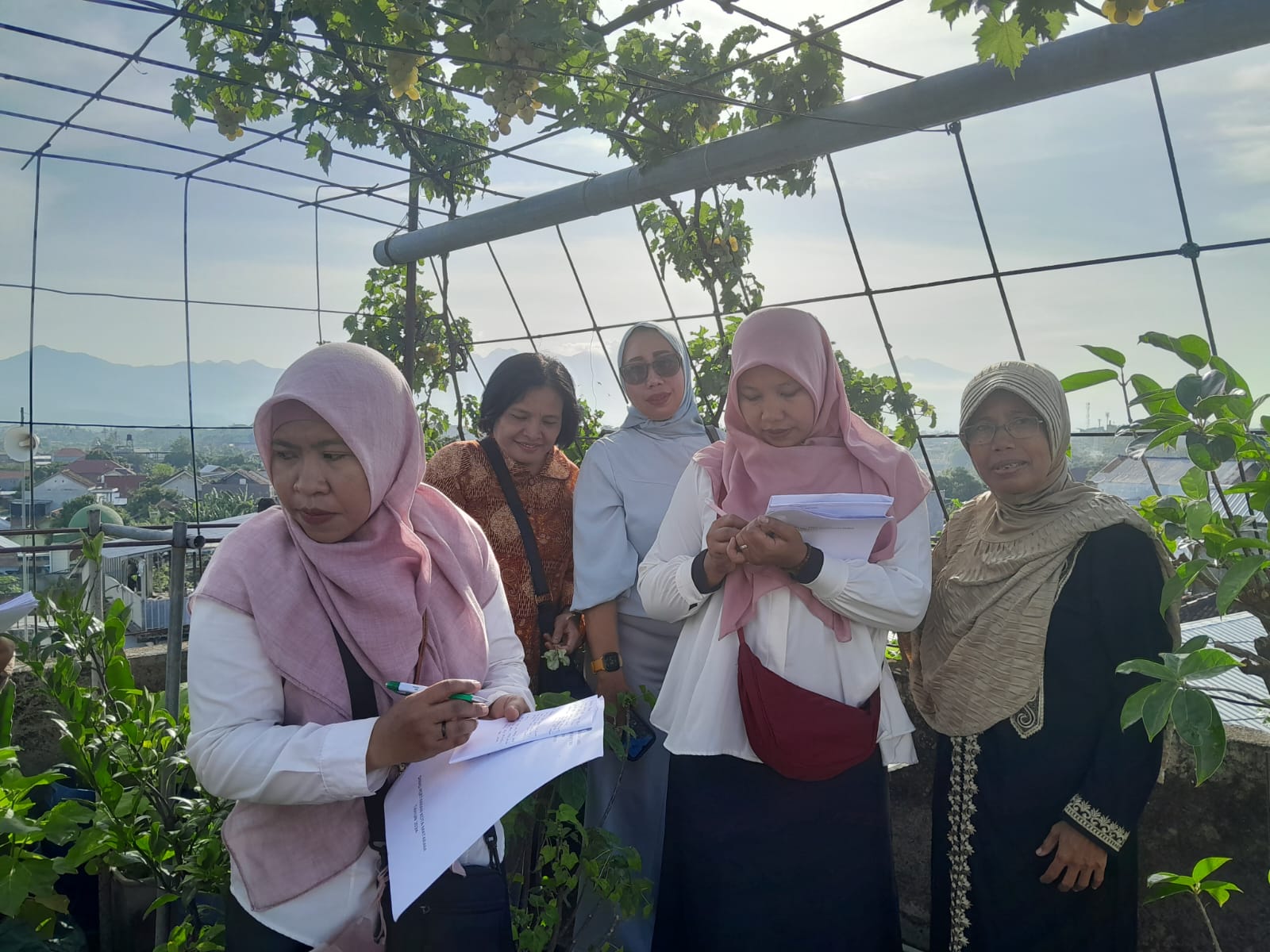 Suasana  Penilaian Lomba KWT Pekarangan Tingkat Kecamatan, di Lingkungan Perigi Kelurahan Dasan Agung Kecamatan Selaparang Rabu (10/7).