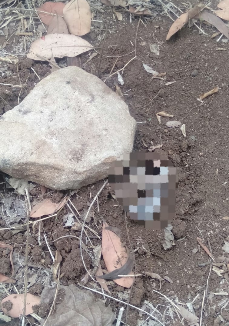 Tampak kaki dari mayat bayi yang terkubur dilahan kosong ditemukan warga Desa Kuta, Kecamatan Pujut.