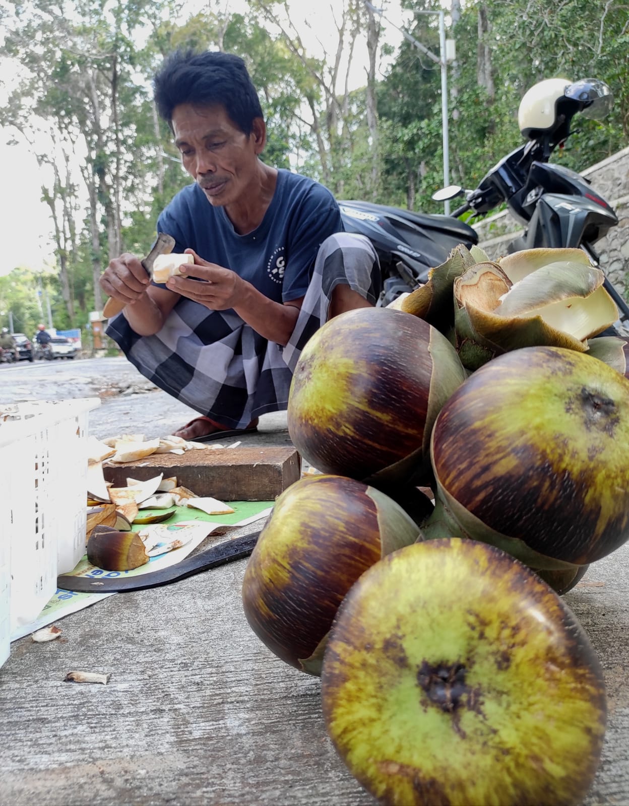 BANYAK DIMINATI: Penjual buah lontar Mahsun mengupas buah lontar yang dibeli konsumennya, di pinggir jalan raya Pusuk. (Ferial/Lombok Post)