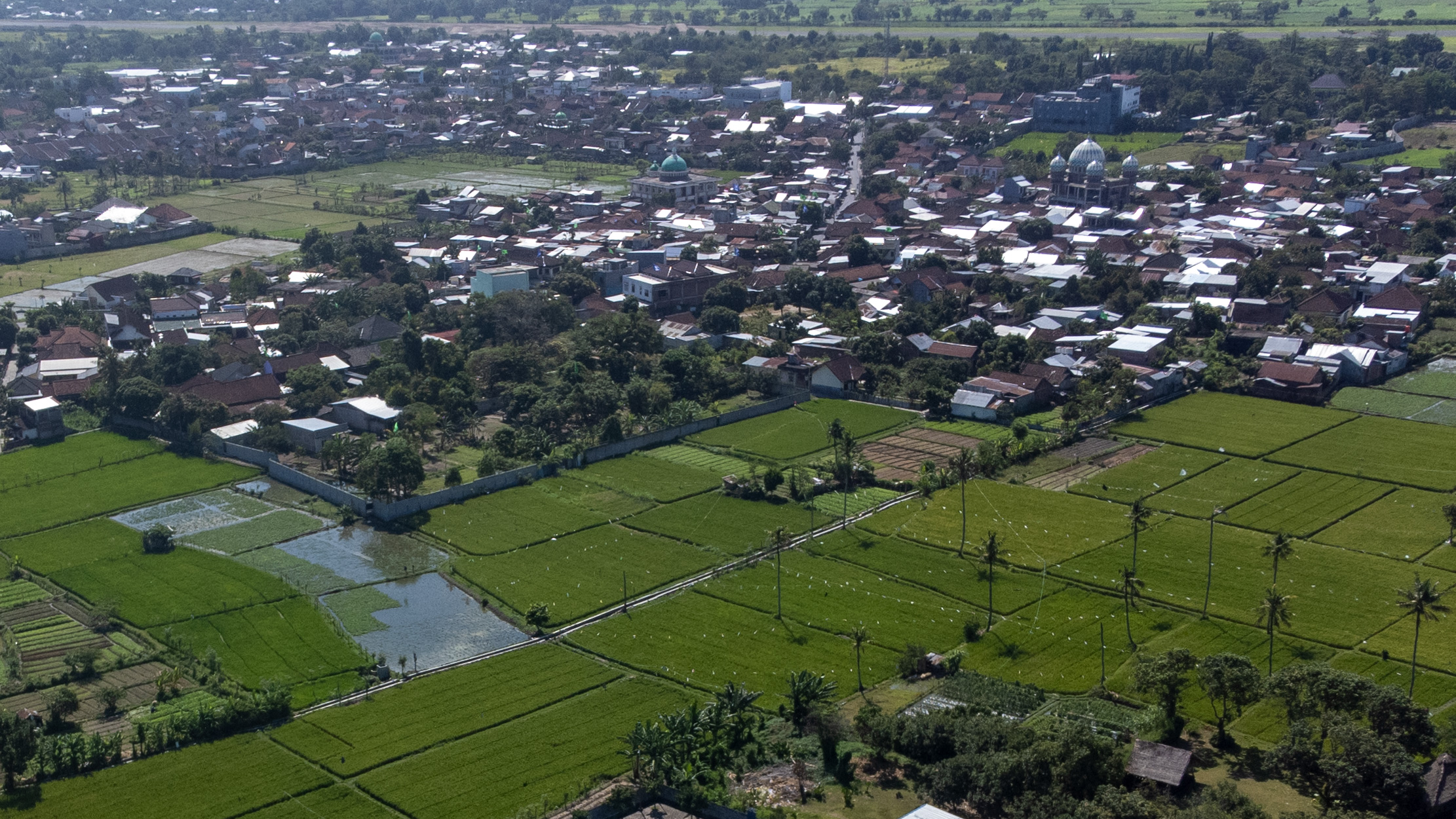 TERANCAM GAGAL PANEN: Terlihat dari kamera drone kondisi sawah yang melimpah airnya, beberapa waktu lalu. (IVAN/LOMBOK POST)