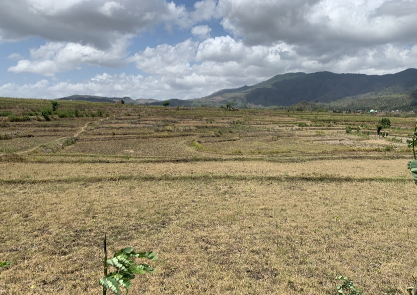Lahan pertanian di Desa Giri Sasak, Kecamatan Kuripan, Lombok Barat.