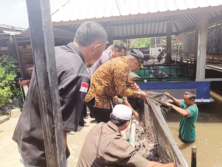 Sejumlah pembudidaya ikan nila di Lingkungan Pengempel Indah, Kota Mataram, beberapa waktu lalu.