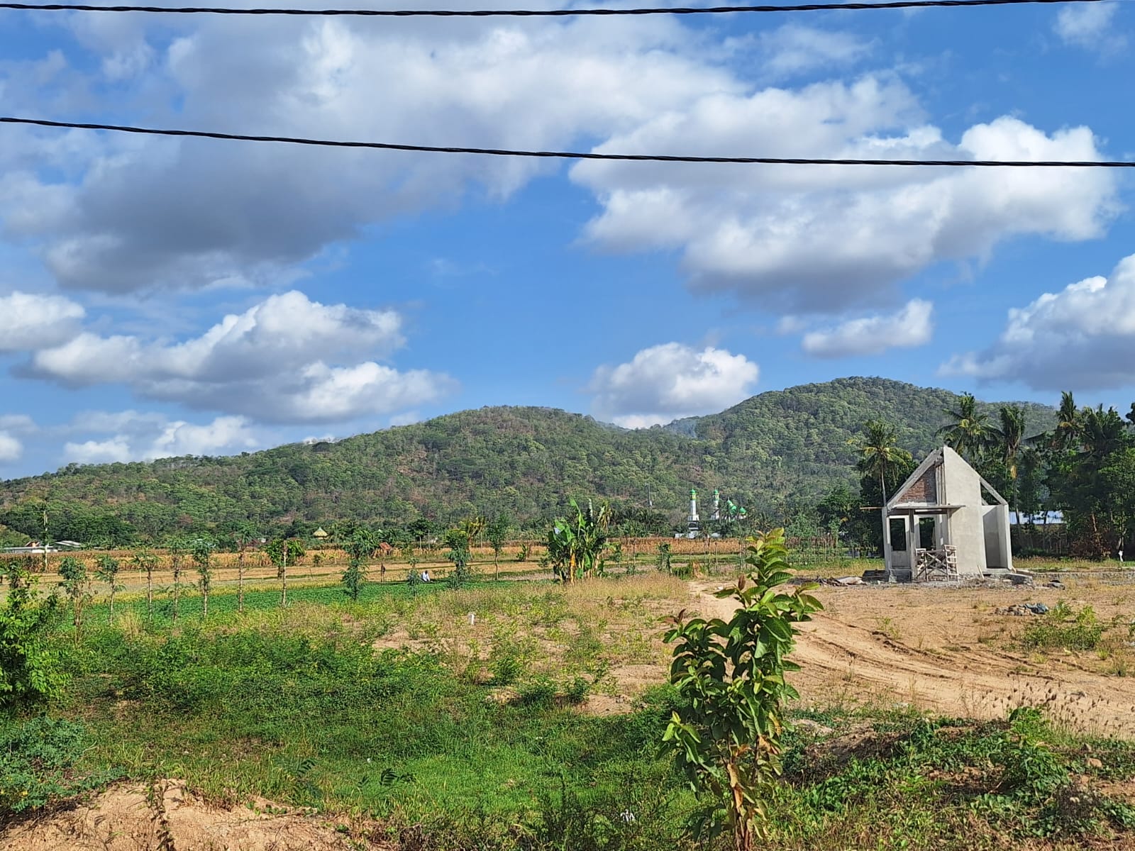 LAHAN DILINDUNGI: Lahan persawahan yang ada di Lombok Barat ditetapkan sebagai LP2B. (Chia/Lombok Post)