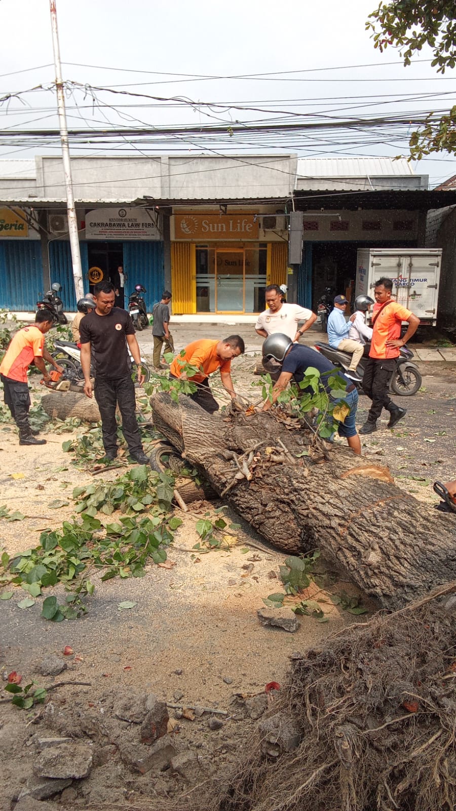 BERJIWA SOSIAL: Sejumlah petugas membersihkan puing-puing pohon tumbang di Jalan Gajah Mada, Pagesangan, Mataram, beberapa waktu lalu. HARLI/LOMBOK POST