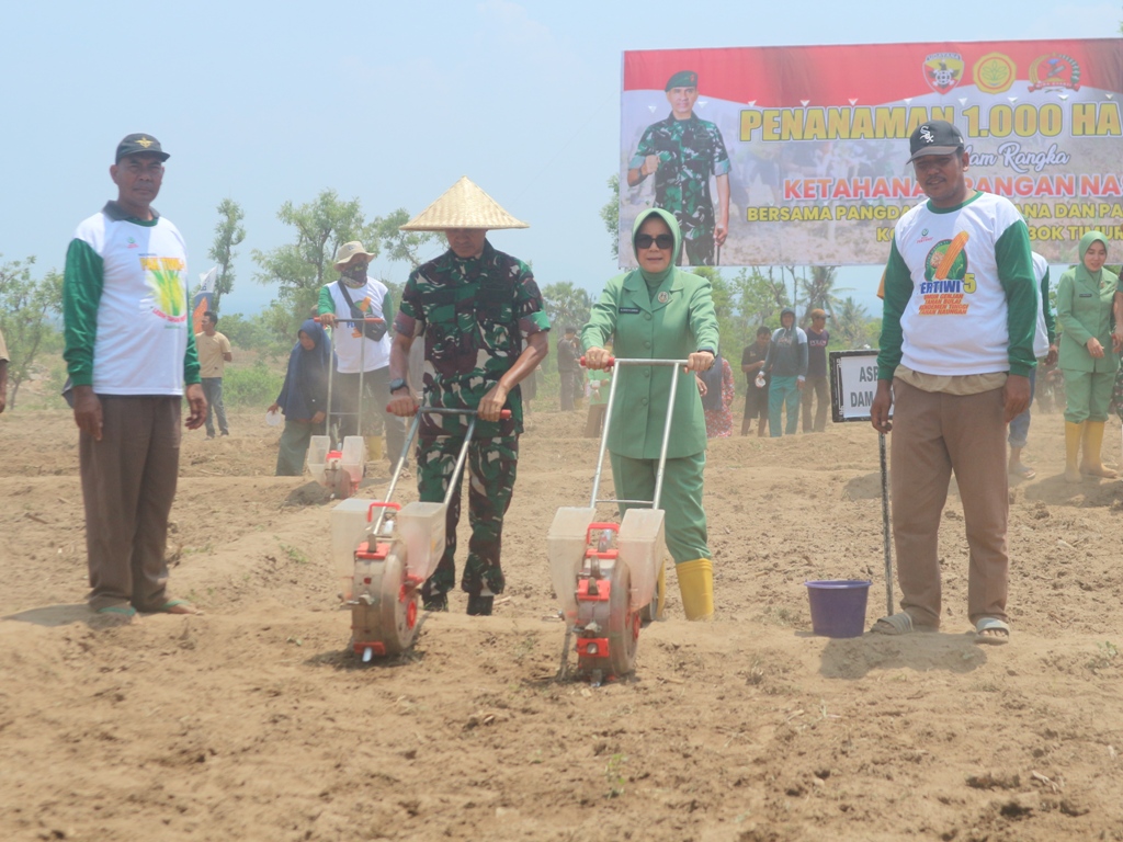 TANAM: Pangdam IX Udayana di dampingi istri saat menanam jagung di lahan seluas seribu hektare, di Desa Pringgabaya, Kecamatan Pringgabaya, Lotim ketahanan pangan. SUPARDI/LOMBOK POST