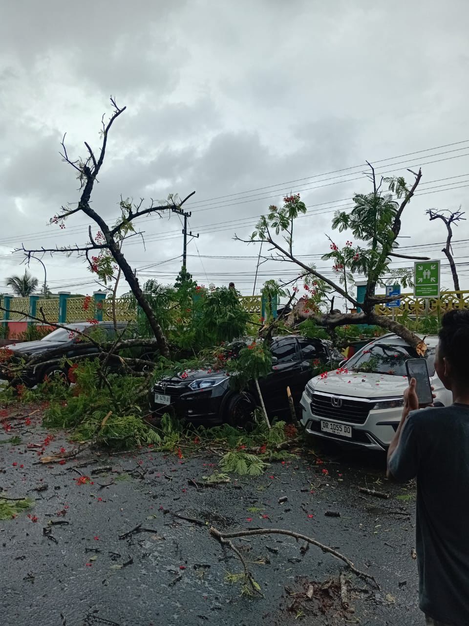 Dua mobil karyawan RSUD PRAYA tertimpa pohon tumbang pasca hujan besar di Praya, Loteng.