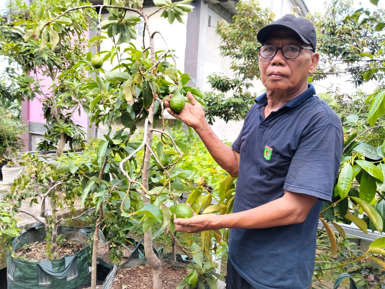 USAHA JUAL BIBIT BUAH: Jaharudin menunjukkan beberapa bibit buah yang ada di pekarangan rumahnya, di Gangga, Lombok Utara, belum lama ini.