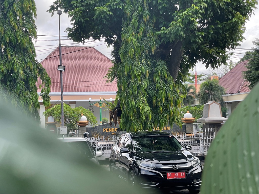 DUKUNGAN PRODUK: Salah satu kendaraan dinas milik Pemkot Mataram yang terparkir di halaman kantor Wali Kota Mataram, Rabu (11/12).