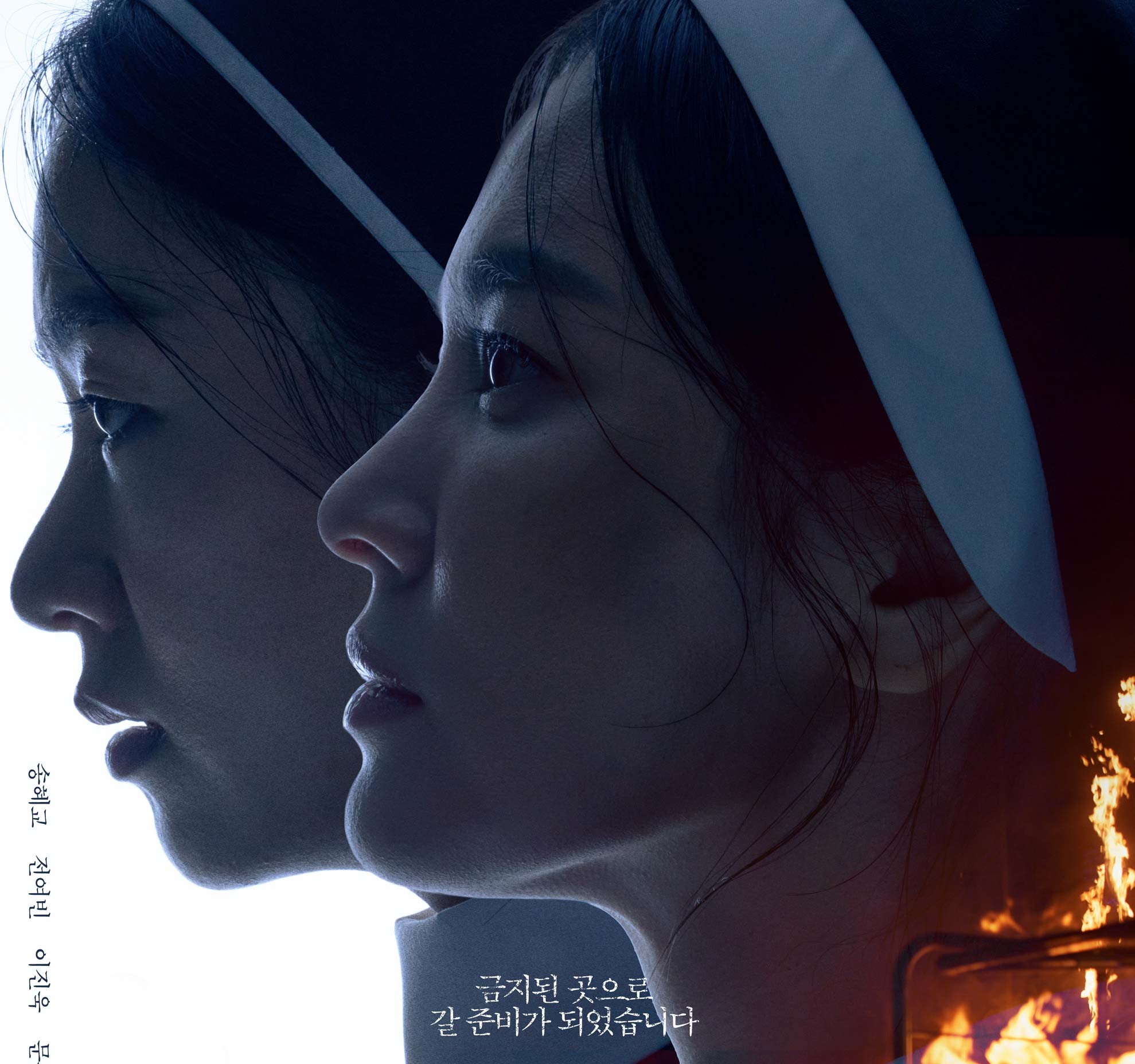 Poster Dark Nuns