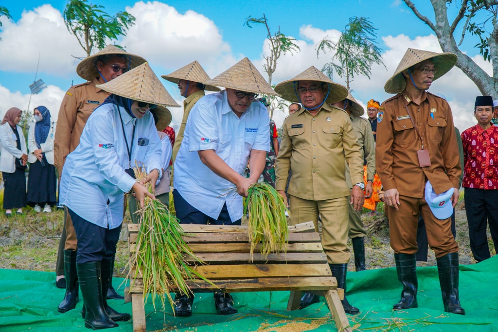 PANEN PERDANA: Kepala KPwBI NTB Berry Arifsyah Harahap (tengah) melakukan panen raya perdana varietas Gamagora 7 di Lombok Tengah, Agustus lalu.