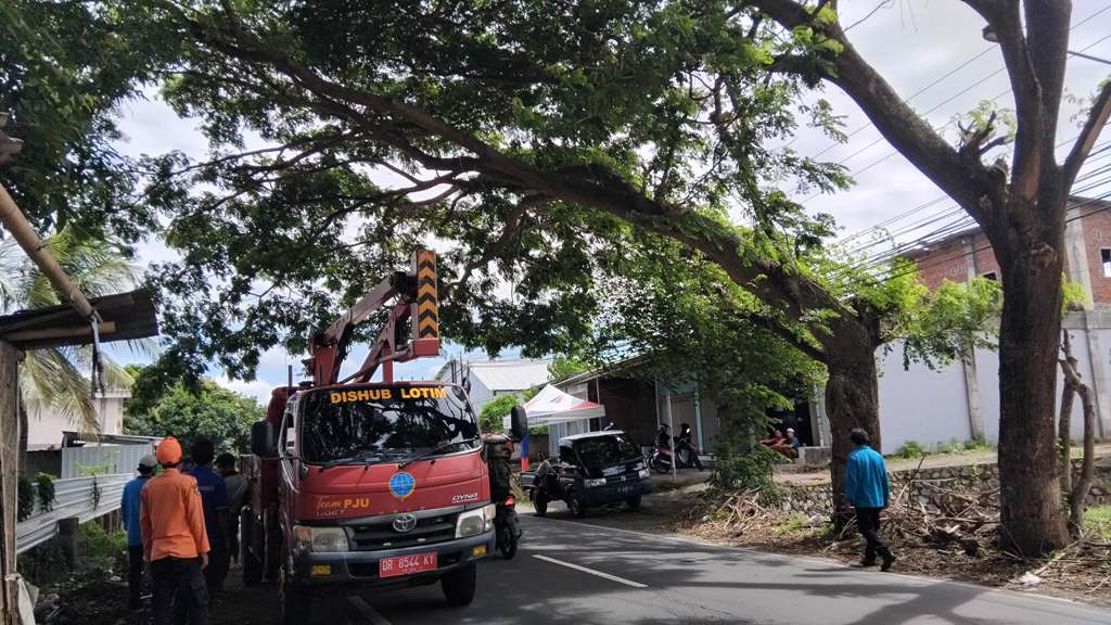 PANGKAS: Tim dari BPBD dan DLHK Lotim saat melakukan pemangkasan pohon di pinggir jalan raya Sakra-Keruak yang berpotensi tumbang saat angin kencang.