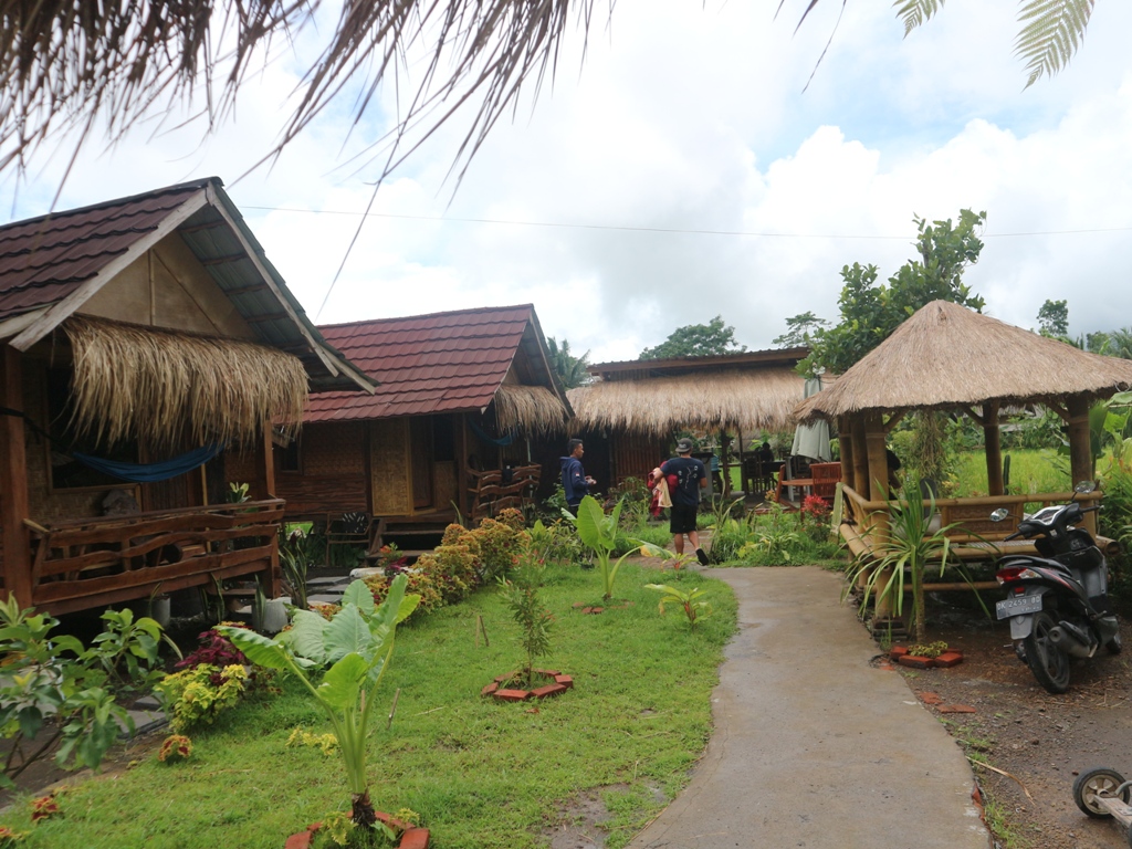 FULL BOOKING: Rizal salah satu pengelola Penginapan padi Bungalow Tetebatu, saat bersih-bersih di seputaran penginapan untuk persiapan tamu yang akan menginap.