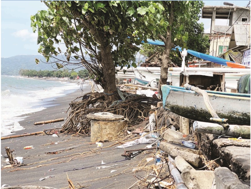DARATAN MENGHILANG: Sebuah pohon waru di pantai Kampung Bugis, Bintaro, Kota Mataram terlihat akarnya karena terkikis abrasi, Jumat (3/1).