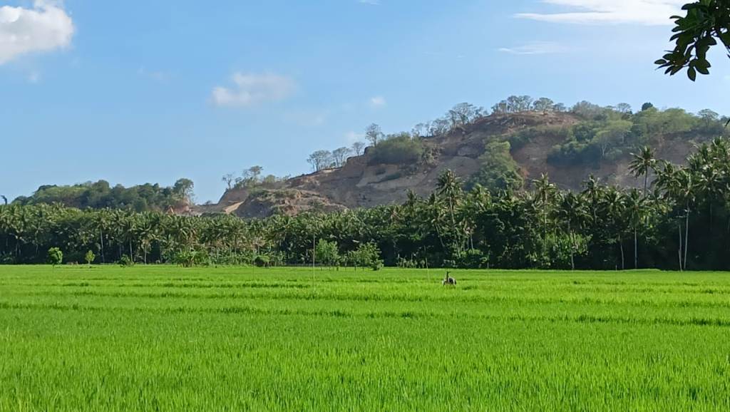 Salah satu lahan perbukitan di Desa Taman Ayu, Kecamatan Gerung, yang dikeruk sebagai lokasi galian C.