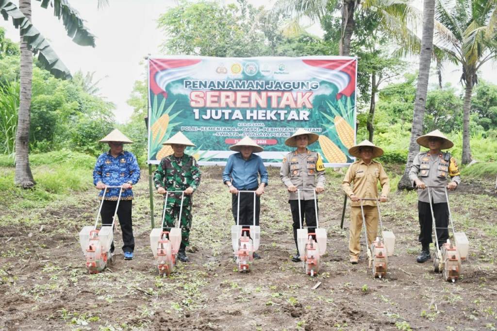 SINERGI: Penanaman jagung serentak secara simbolis oleh Bupati Djohan Sjamsu, Kapolres AKBP Agus Purwanta, Pabung Dandim 1606 Mataram Mayor Inf Ngakan Made Marjana, Selasa (21/1).