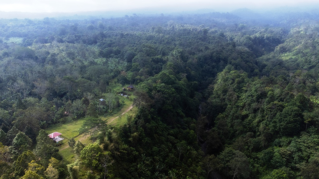 JAGA HUTAN: Kondisi hutan di bawah kaki Gunung Rinjani masih asri dan rimbun berpotensi gundul jika menuruti keegoisan manusia.