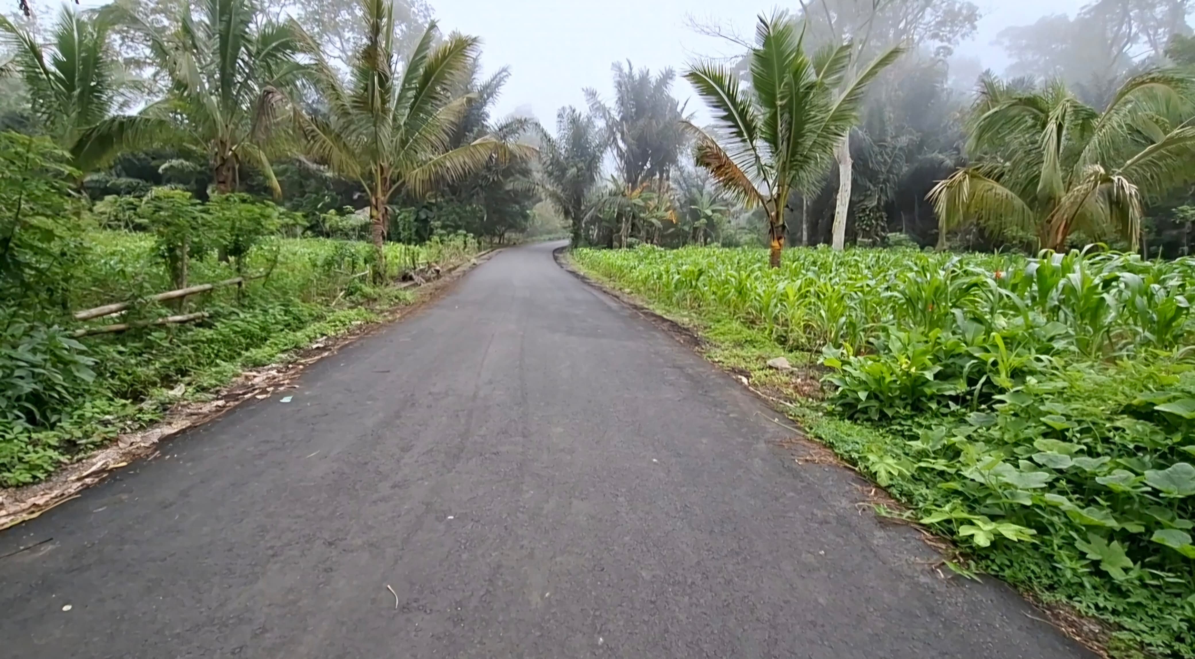 Ruas jalan menuju PLTP Mataloko yang sudah dibenahi oleh PLN.