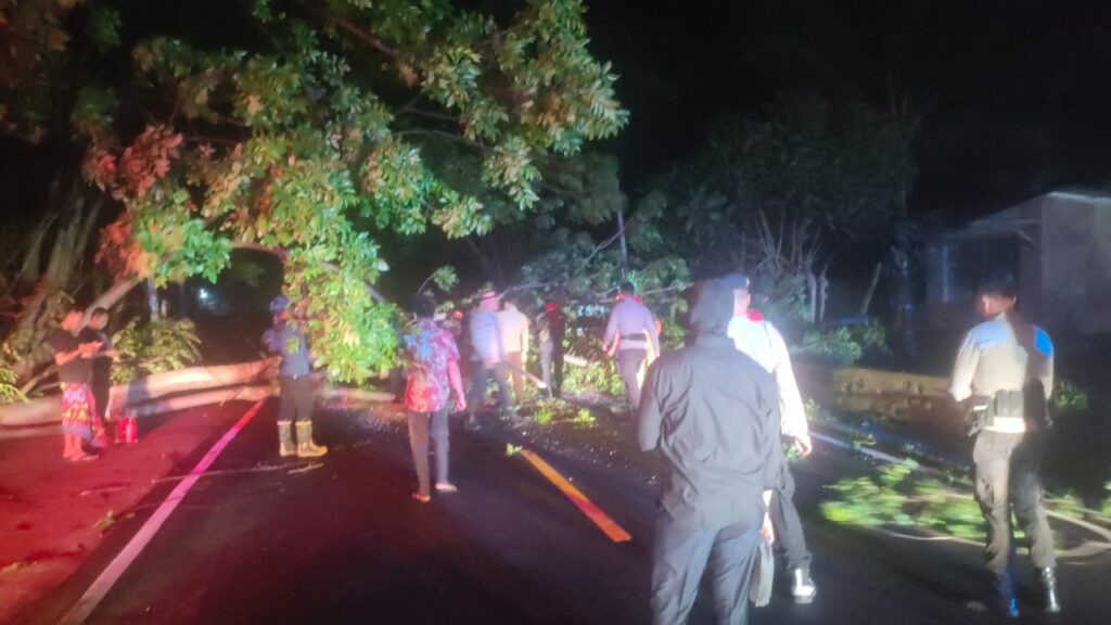 EVAKUASI BERSAMA: Petugas membersihkan sisa ranting dan dahan pohon yang tumbang di jalan raya Kecamatan Gangga