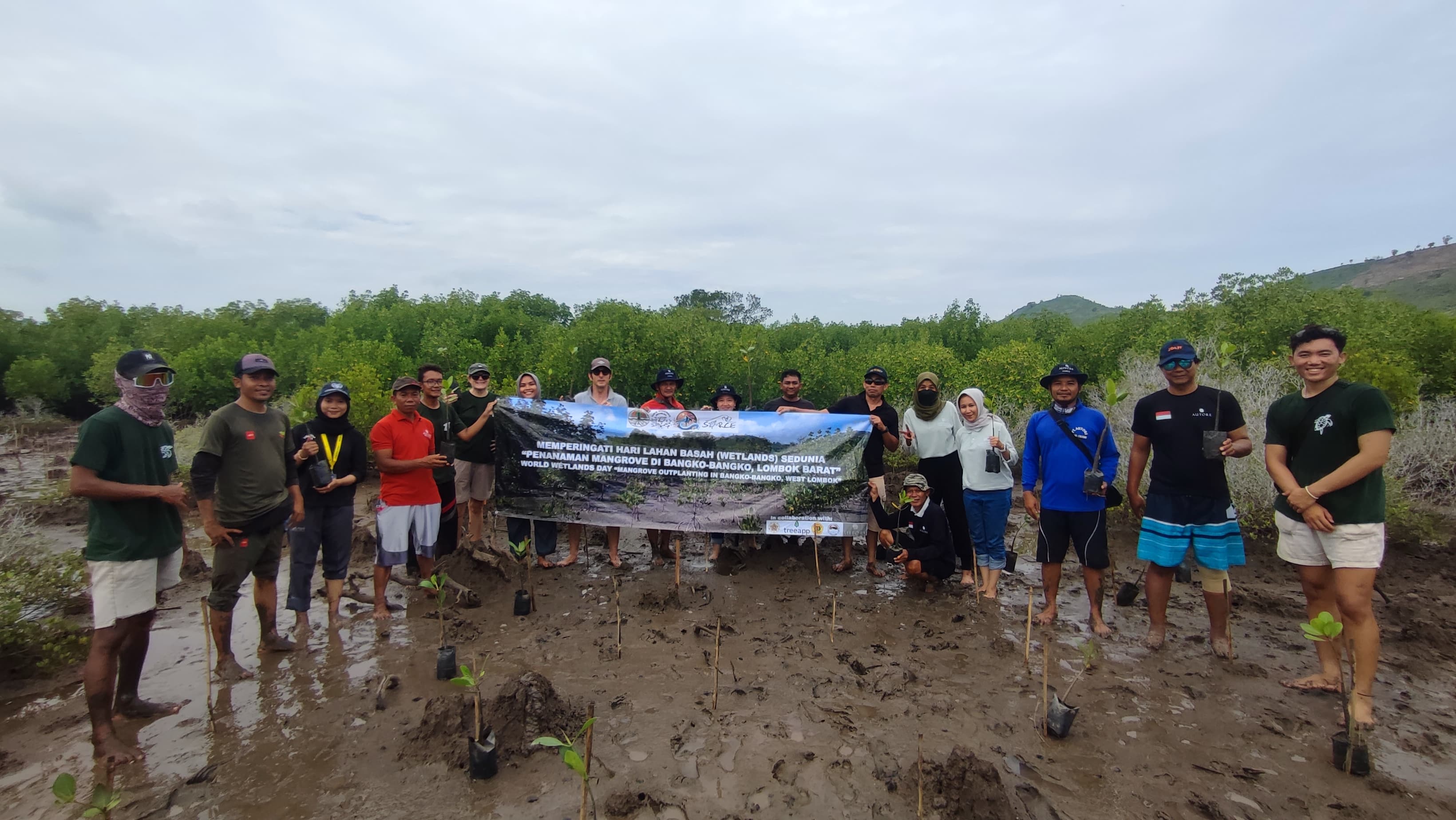 PELESTARIAN PESISIR: PT Autore Pearl Culture (APC) dan stakeholder  lainnya melakukan penanaman mangrove di pesisir Bangko-Bangko, Sekotong, Lombok Barat, Rabu (5/2).