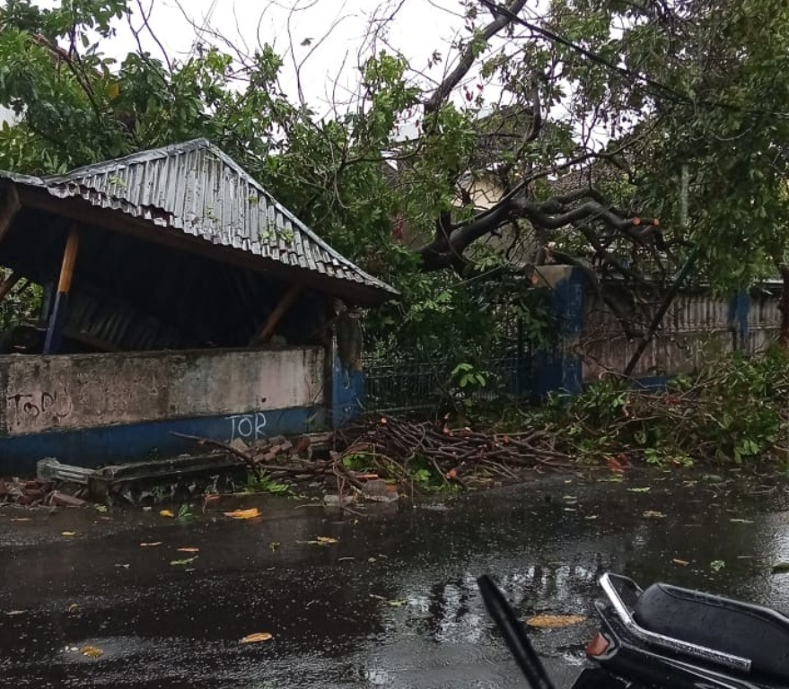 Berugaq warga yang tertimpa pohon di Pejeruk, Ampenan, Minggu (9/2).