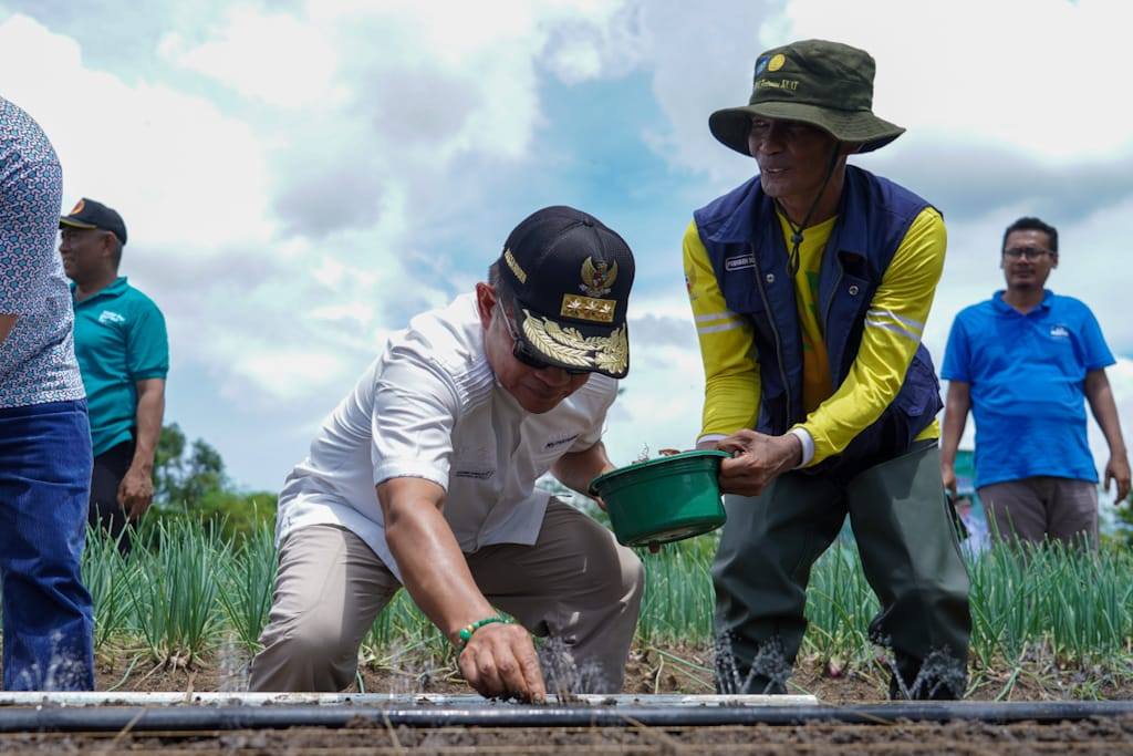 KOMODITAS UNGGULAN: Pj Gubernur NTB Hassanudin (tengah) saat melakukan panen raya bawang merah varietas Super Philip di Kecamatan Lopok, Kabupaten Sumbawa, akhir Januari lalu.