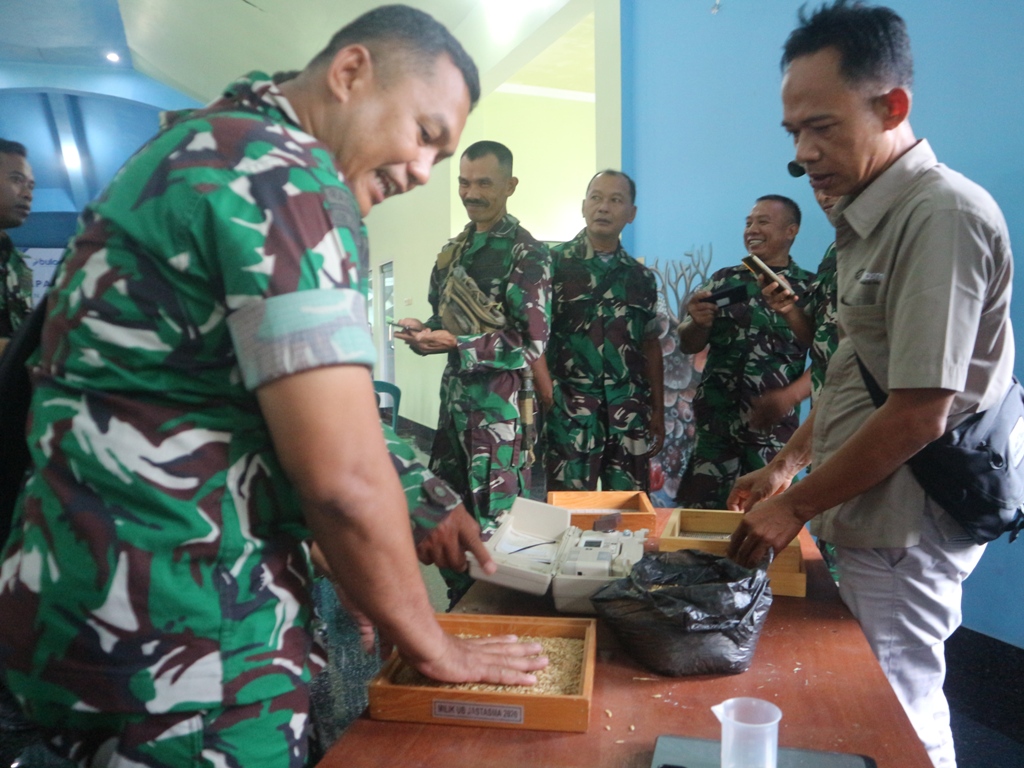 TRANSFER ILMU: Pegawai Bulog Lotim mengajarkan sejumlah Babinsa di Lotim cara untuk mengecek kualitas gabah, Selasa (18/2).
