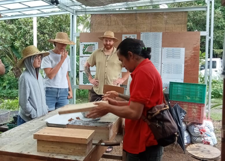 WISATA SAMBIL EDUKASI: Keluarga wisatawan asing asal Inggris mendapat edukasi budi daya trigona dari manajemeen Saifana Organic Farm Bungalows, di Sambik Elen, Lombok Utara.