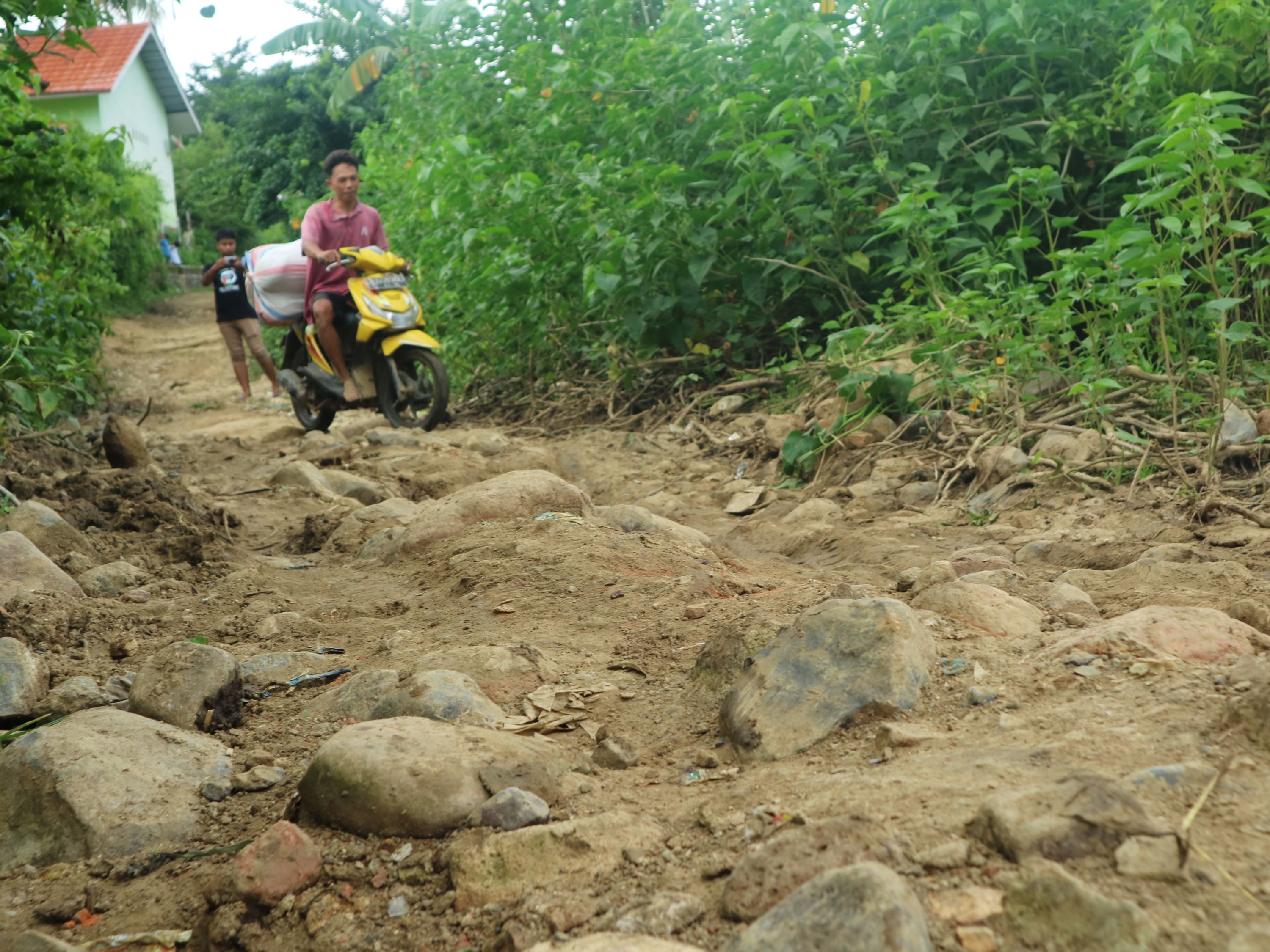 Warga mengangkut hasil panen kelapa saat melintasi jalan rusak di Dusun Pemoles, Desa Batu Jangkih, Kecamatan Praya Barat Daya, Loteng, belum lama ini.