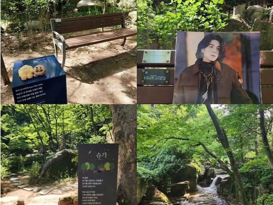SUGA Forest