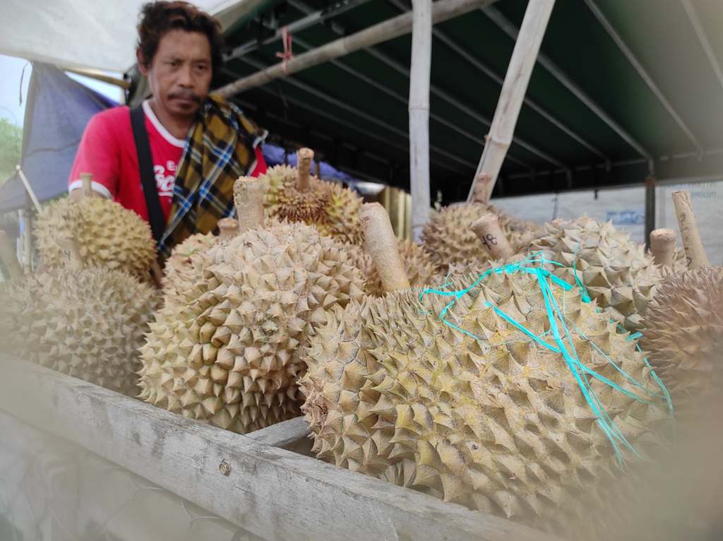 MENJANJIKAN: Buah durian Lombok Utara jenis kane yang dijual di depan Ruko Suryani, beberapa waktu lalu.