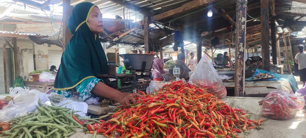 LEBIH MURAH: Harga cabai di Lombok Utara mulai turun setelah sempat melambung tinggi.