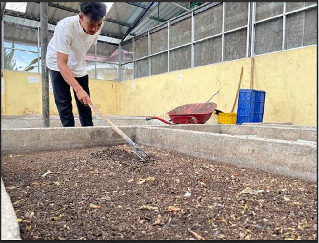 PENUH LALAT:&nbsp;Petugas peternakan Maggot Hendra memperlihatkan maggot-maggot yang mulai tumbuh dewasa, Rabu (5/3).&nbsp;