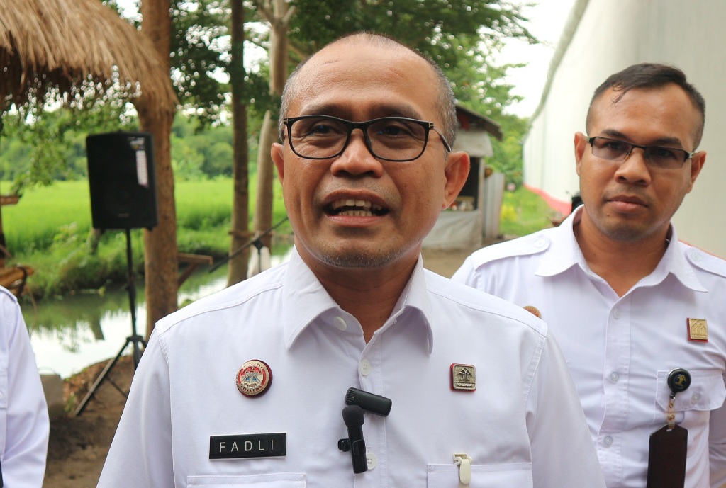 M Fadli