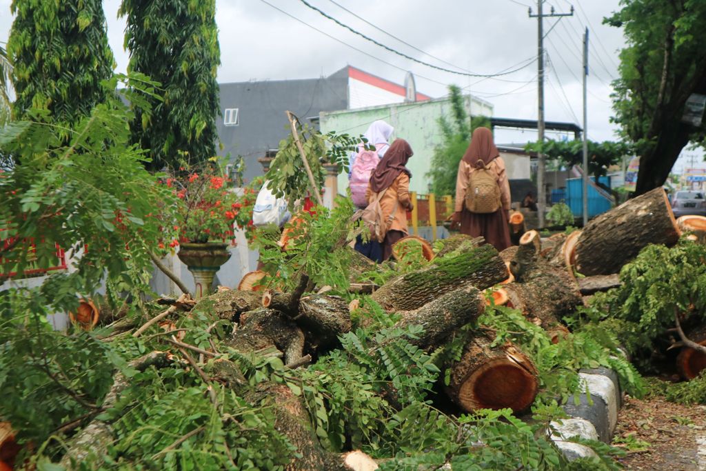 BELUM DIANGKUT: Sisa puing batang pohon yang tumbang di depan SMAN 1 Praya Barat, Loteng belum diangkut dan masih menumpuk di trotoar dan median jalan, Kamis (20/3).