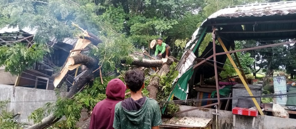 WASPADA: Warga tengah menangani pohon tumbang di depan TK Iqra Udayana, Minggu (23/3).